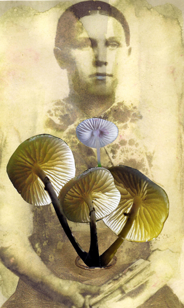 © Marie-Thérèse Mentink